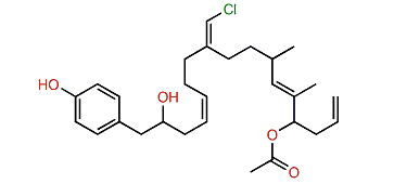 Erectuseneol A